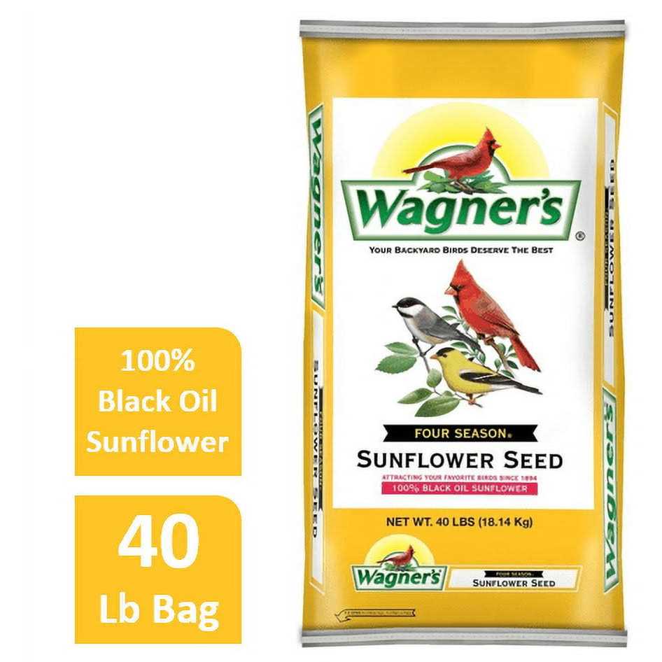 Black Oil Sunflower Seed S892