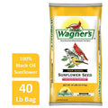 Black Oil Sunflower Seed S892