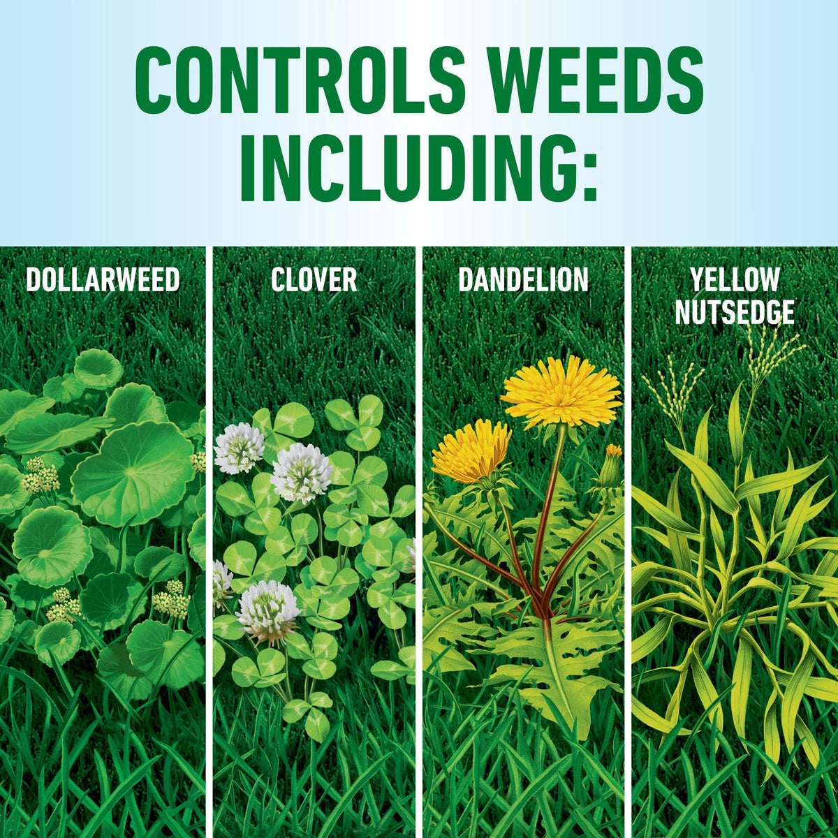 Weed Killer 1 gal. D3434