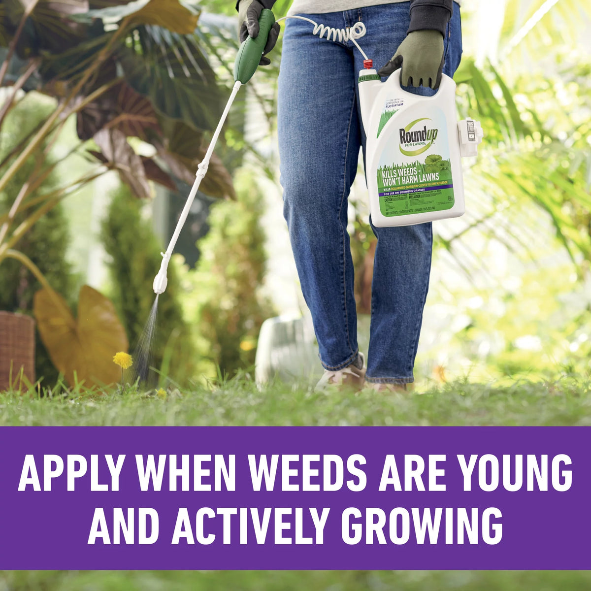 Weed Killer 1 gal. D3434