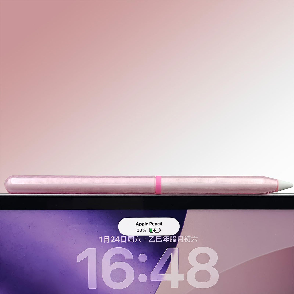 Pink Protective Pencil Case with 2 Silicone Tip Covers Y404