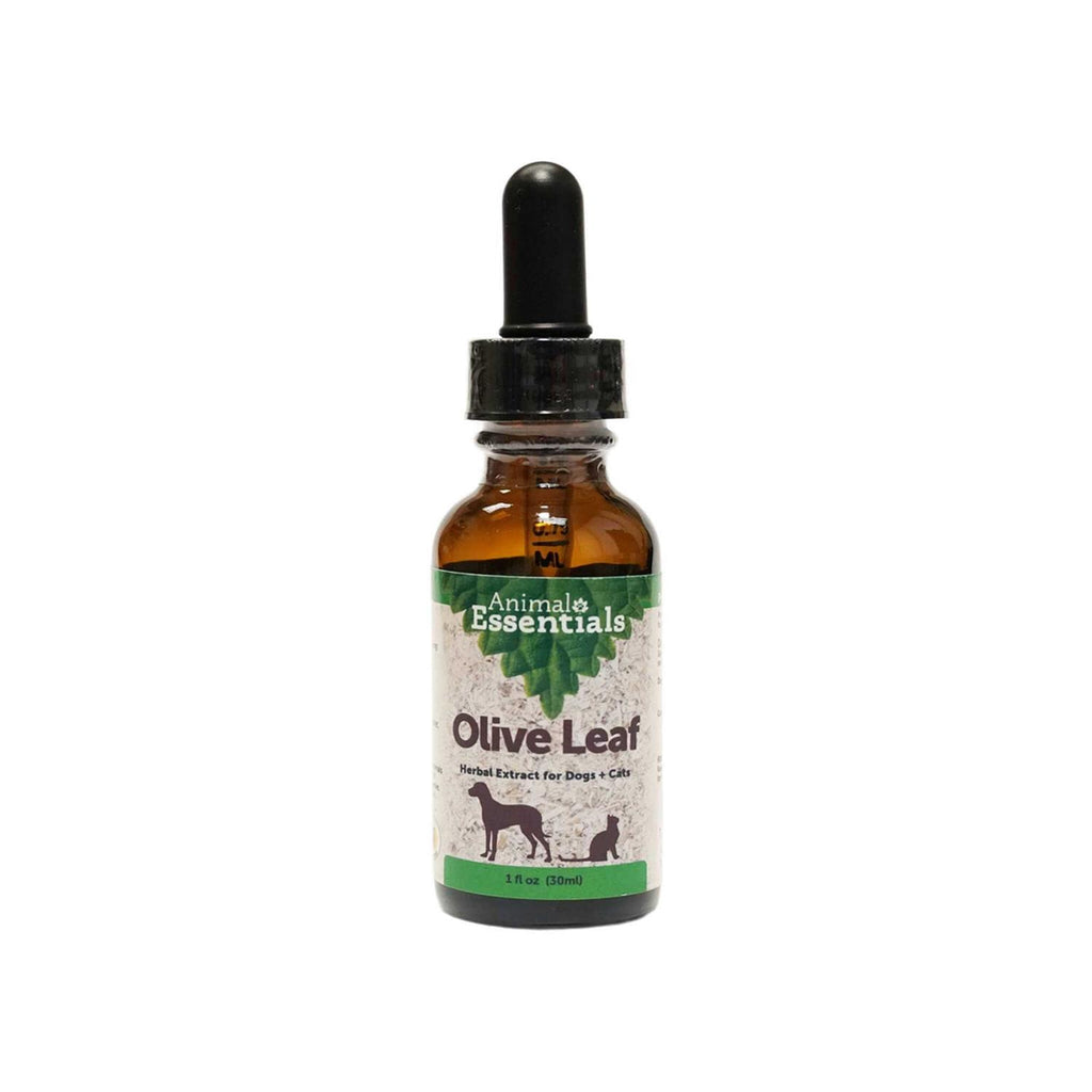 Olive Leaf Herbal Extract I28458