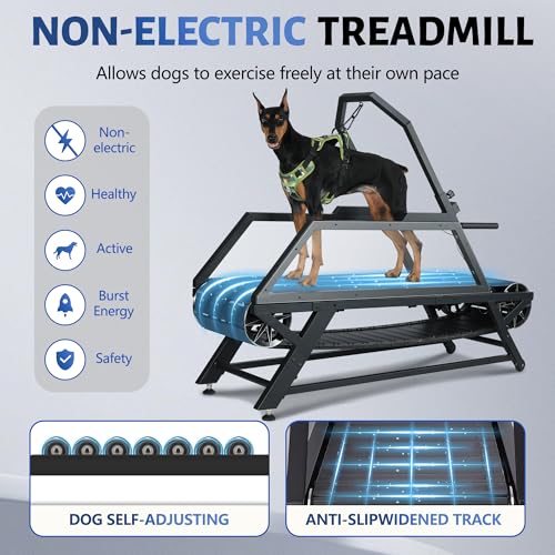 Slatmill for Dogs with Adjustable Resistance, Disc Brake & Pedometer, 300 lbs Heavy Duty G4992