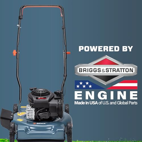 21-Inch 140 cc Gas Push Lawn Mower R490623
