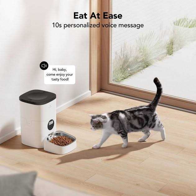 Automatic Dog & Cat Feeder S187396