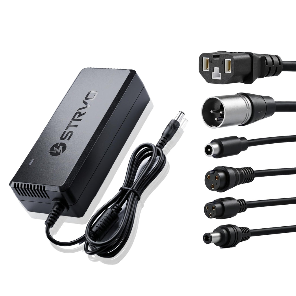 54.6V 2A Electric Scooter and Bike Battery Charger D4606