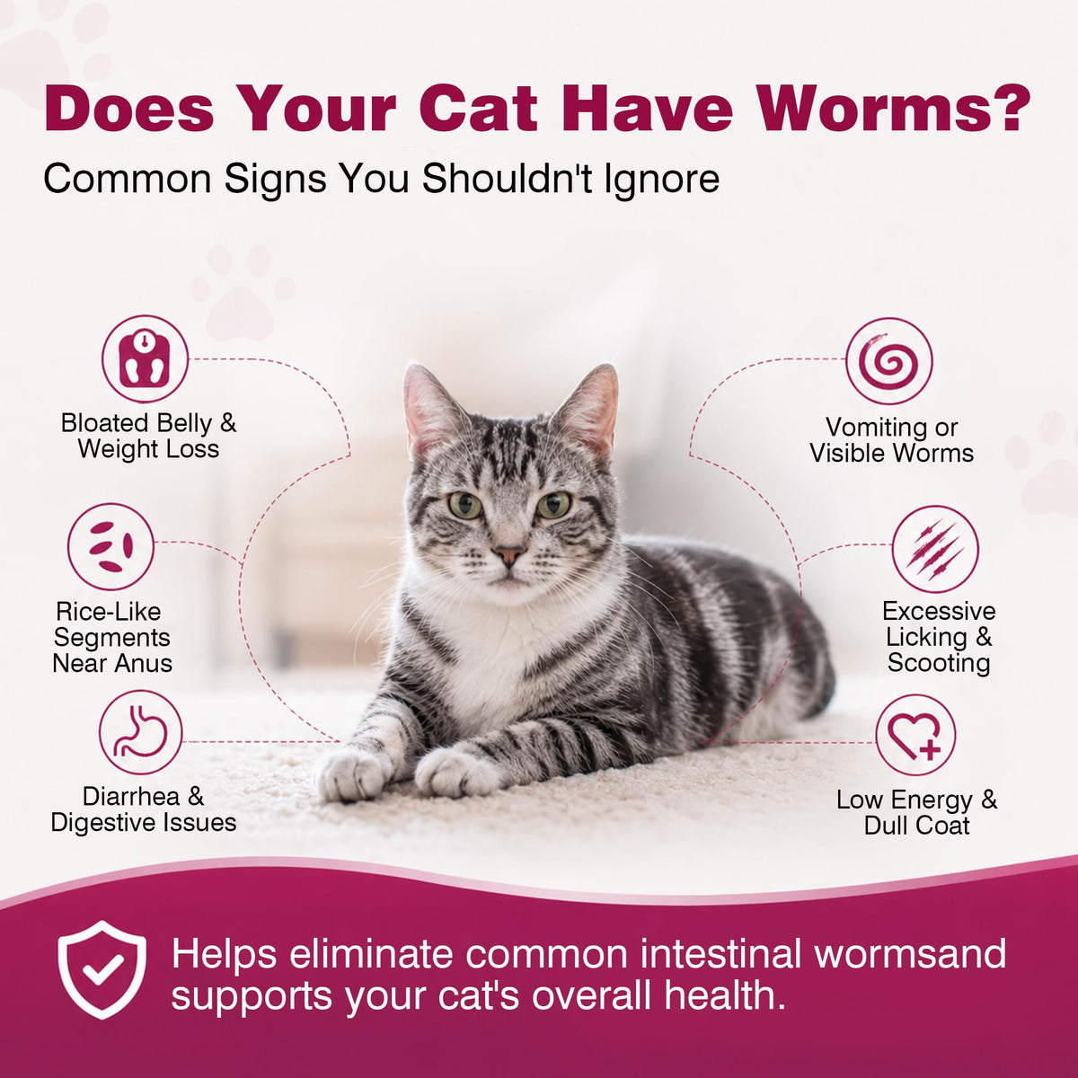 Broad-Spectrum Dewormer for Cats and Kittens, 12 Tablets R163851