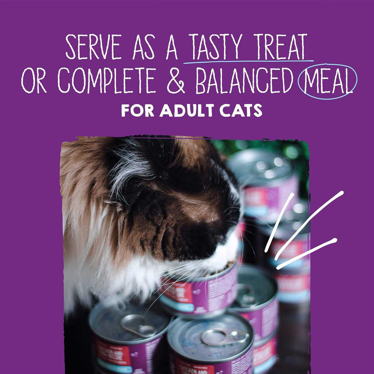 Variety Pack Pate Cat Food M823
