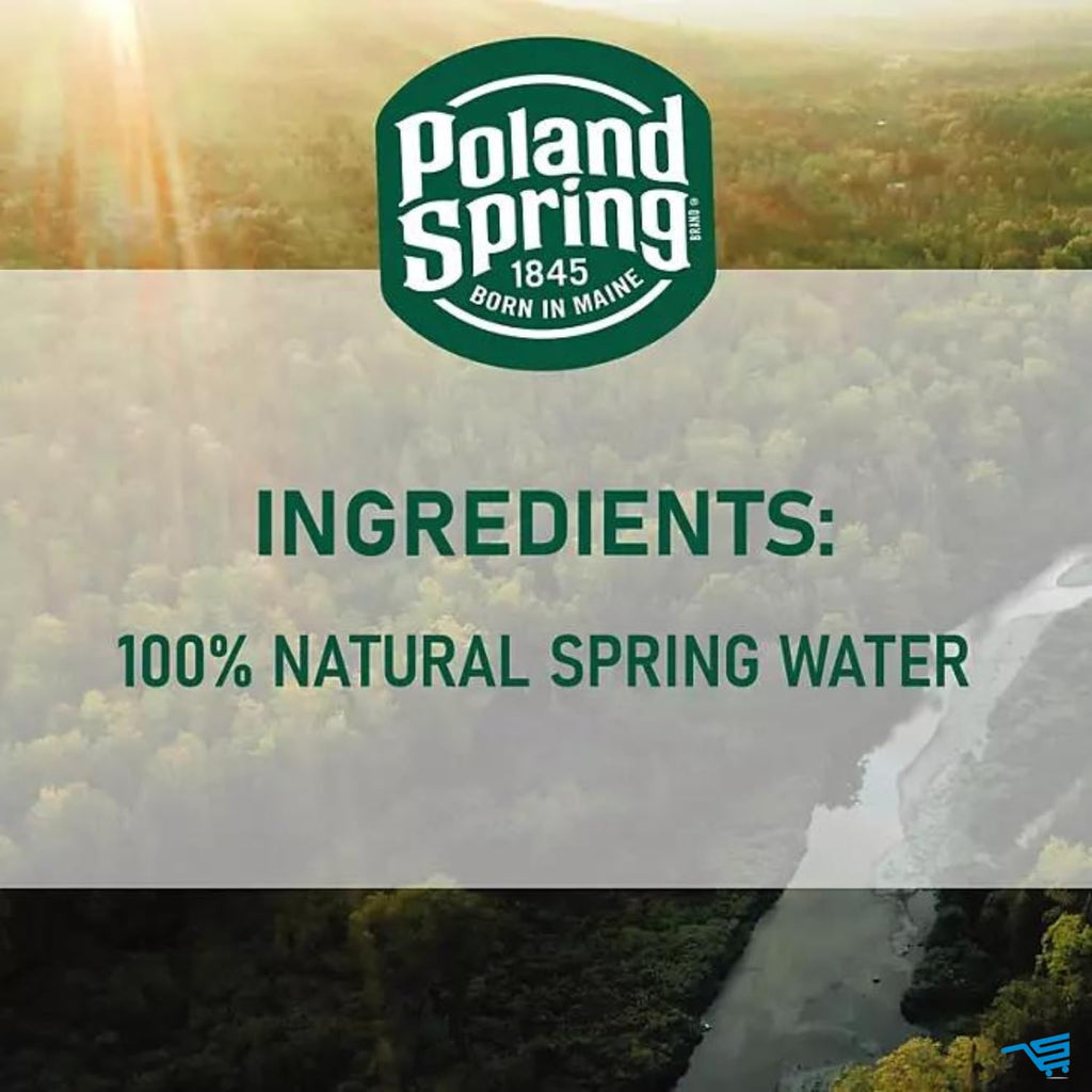 16.9 Fl Oz 40 Pack Spring Water W122243