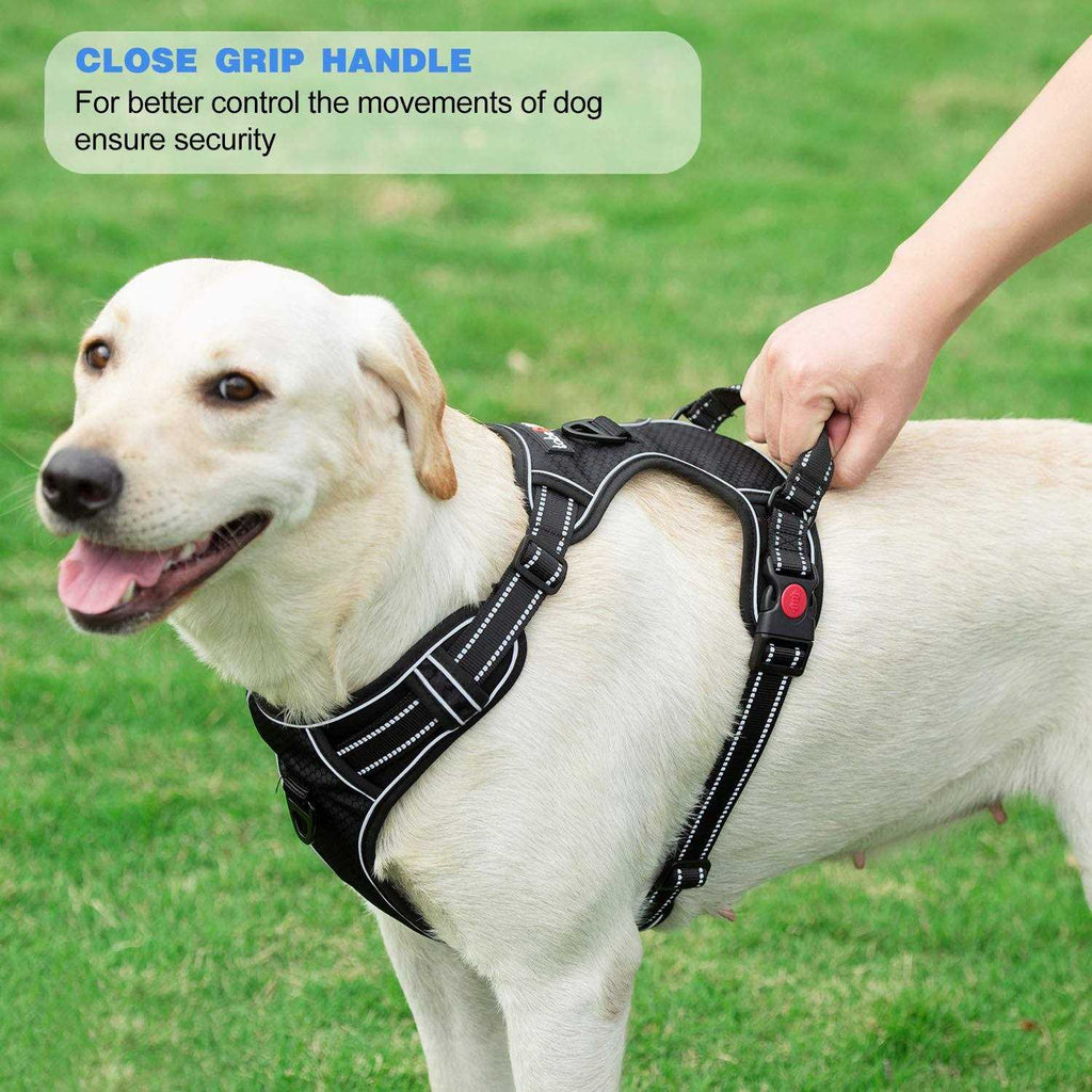 Adjustable Reflective Oxford Dog Harness with 5ft Dog Leash V919