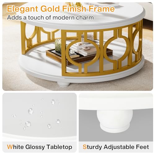 2-Tier Round Coffee Table with Storage Shelf M553815