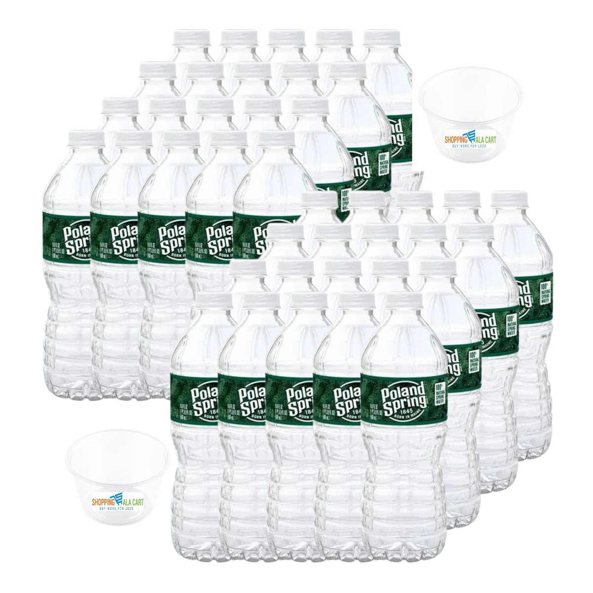 16.9 Fl Oz 40 Pack Spring Water W122243