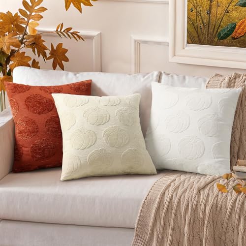 Christmas Chenille Soft Throw Pillow Covers 18x18 Set of 2 H311