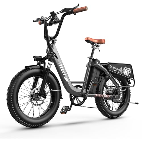 1500W 48V 18AH Removable Battery 20" x 4.0 Fat Tire 7-Speed Electric Bike R396