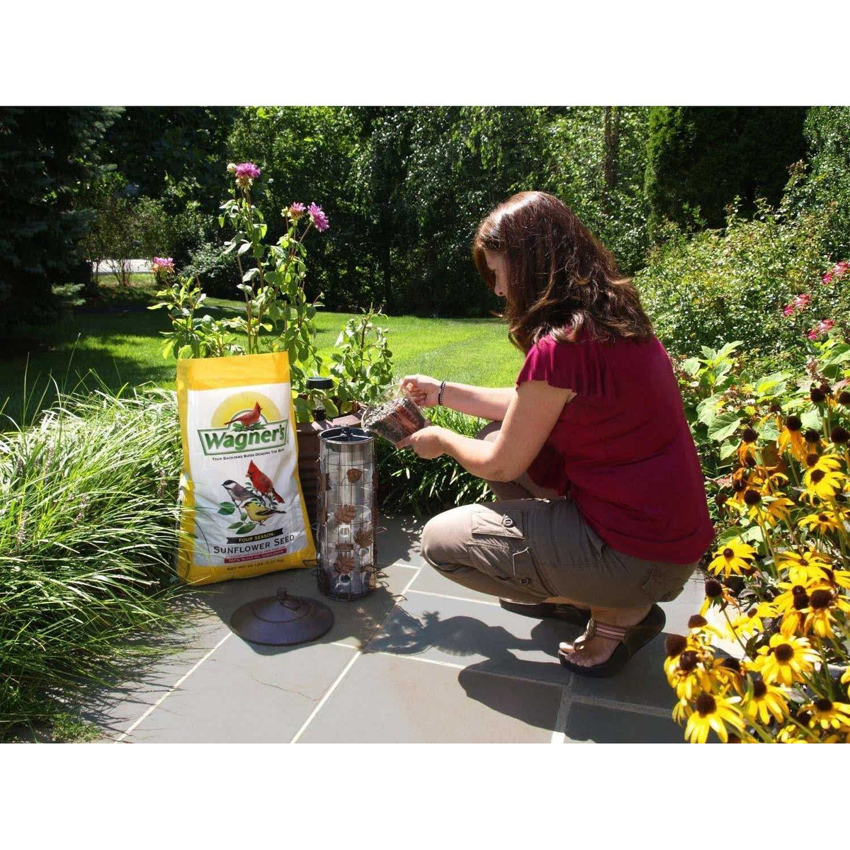 Black Oil Sunflower Seed S892