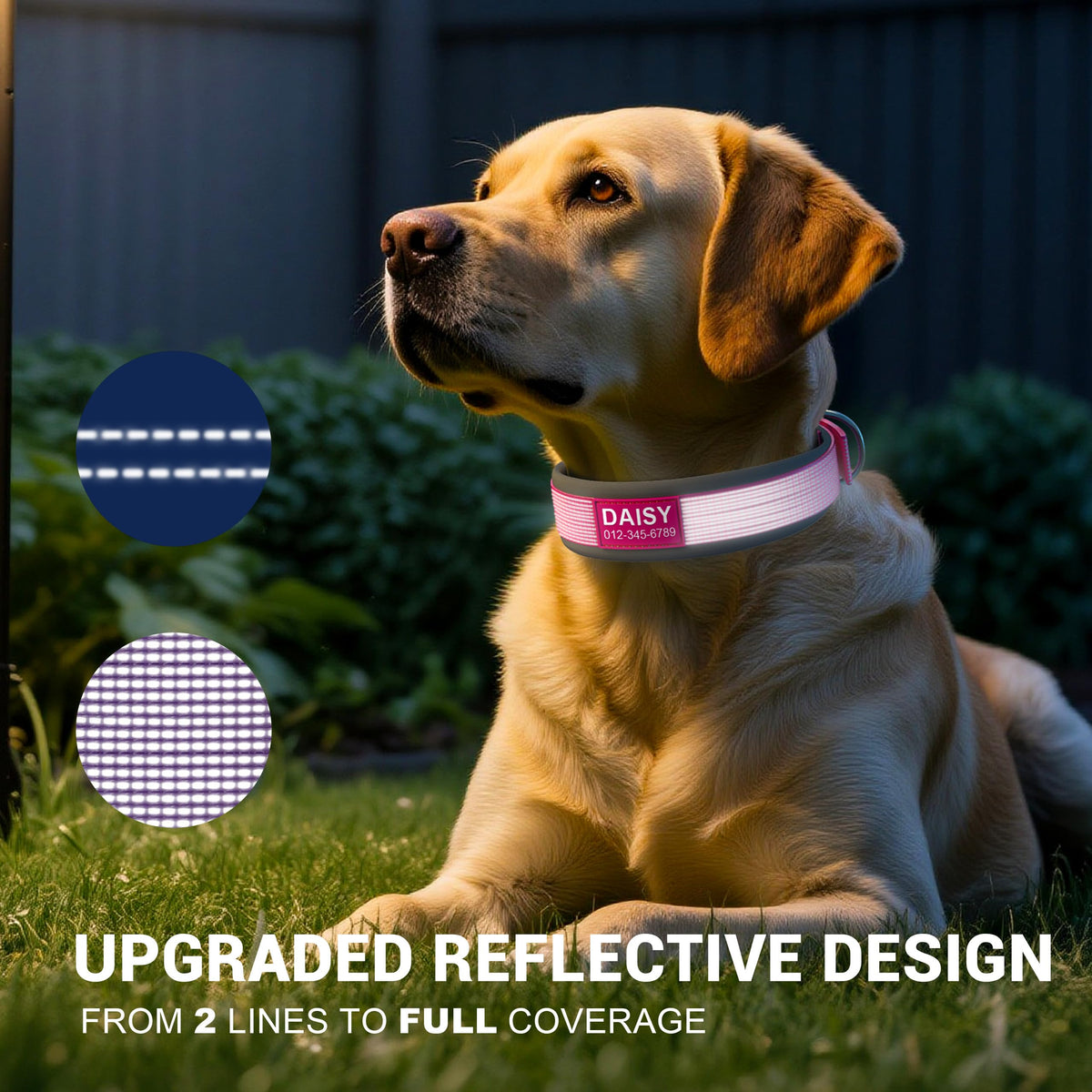 Personalized Reflective Dog Collar Z77608