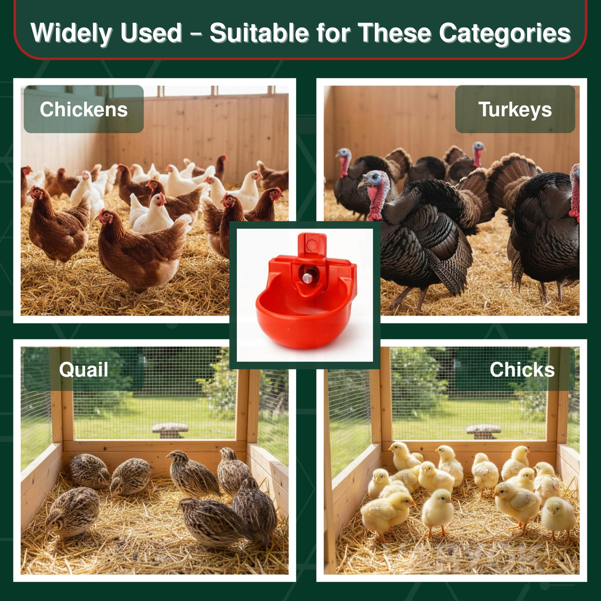 12-Pack Chicken Water Nipples with Cups D1065