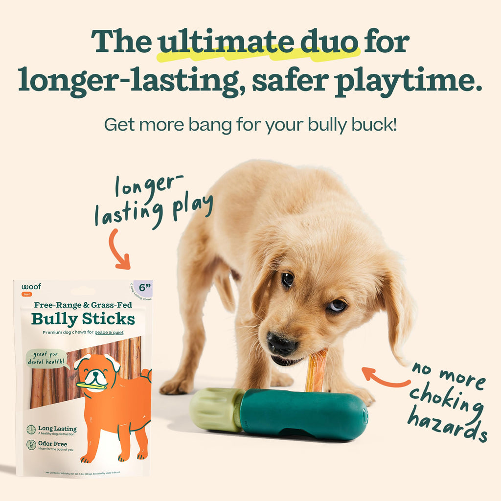 Bully Sticks 6" 5 Pack J7048