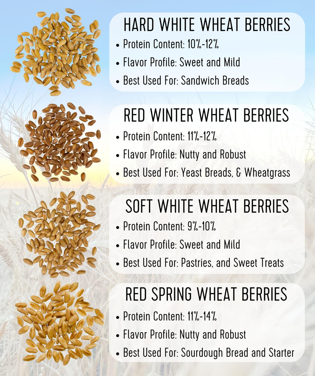 Hard White Wheat Berries 25 lbs G684588