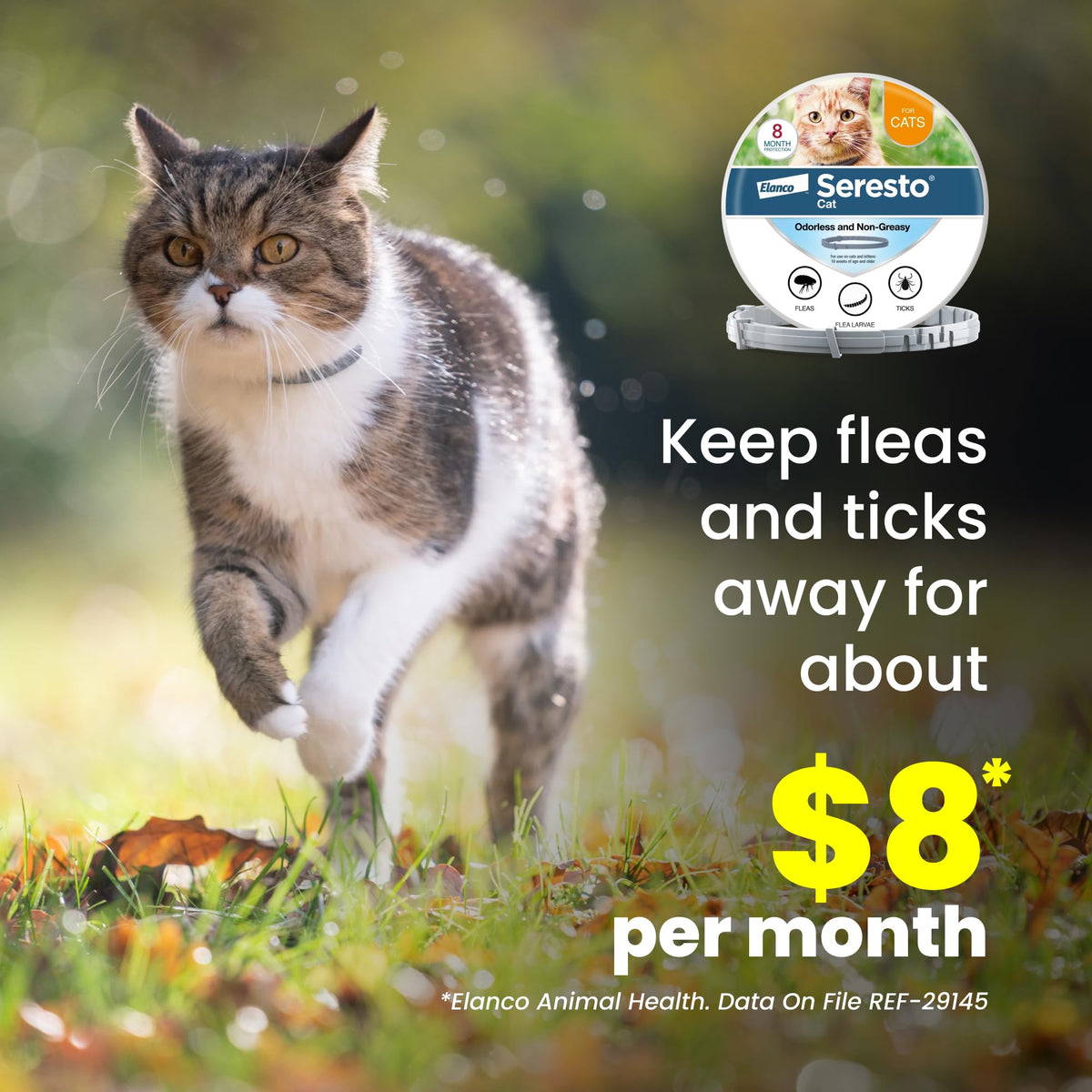 Flea & Tick Treatment & Prevention Collar for Cats X133