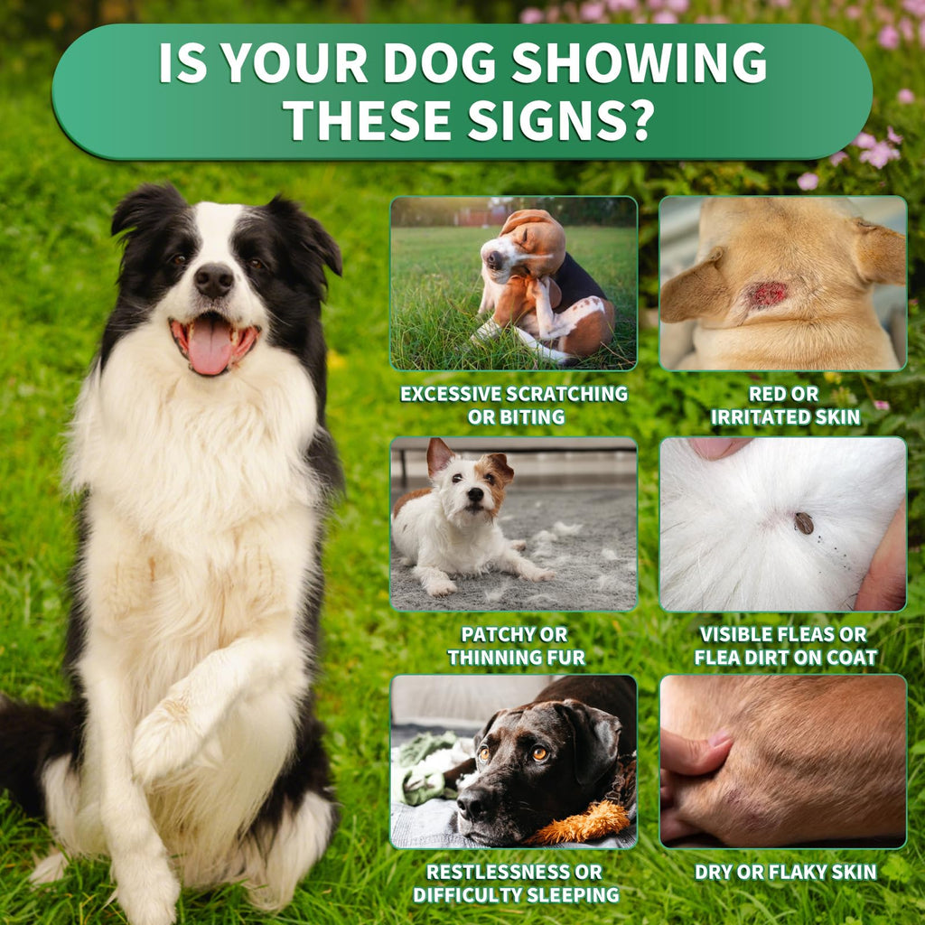 Flea and Tick Prevention for Dogs Chewables A8103