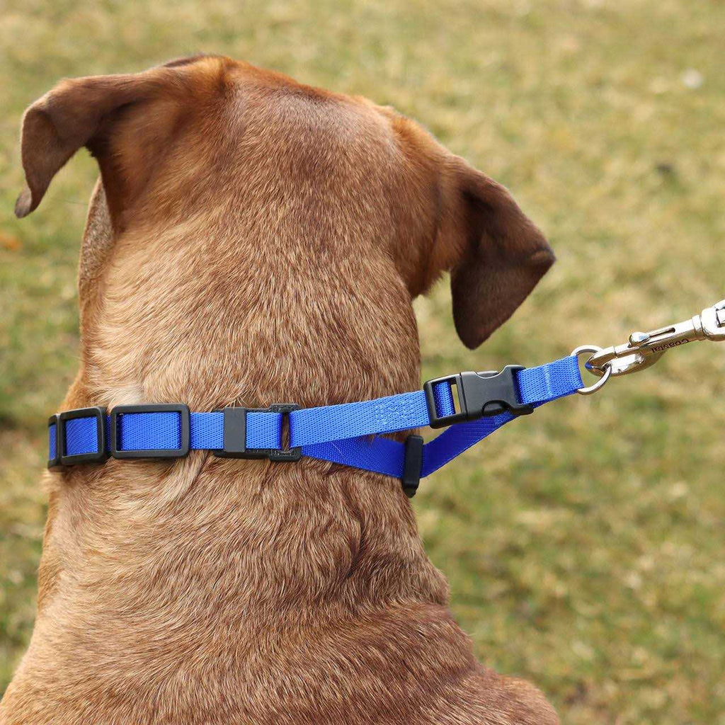 Natural Control Training Collar S611