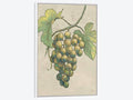 Framed Canvas Art White Floating Frame Z9470