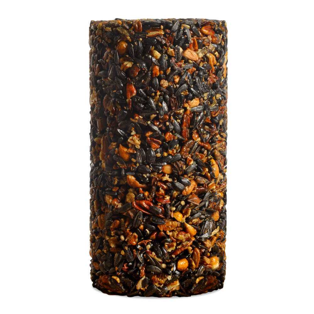 Woodpecker Feast Cylinder N27189