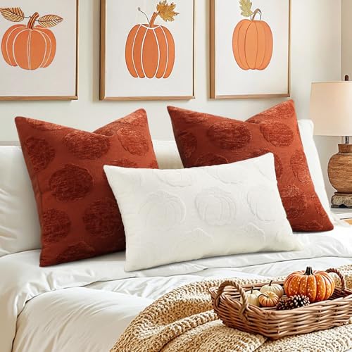 Christmas Chenille Soft Throw Pillow Covers 18x18 Set of 2 H311