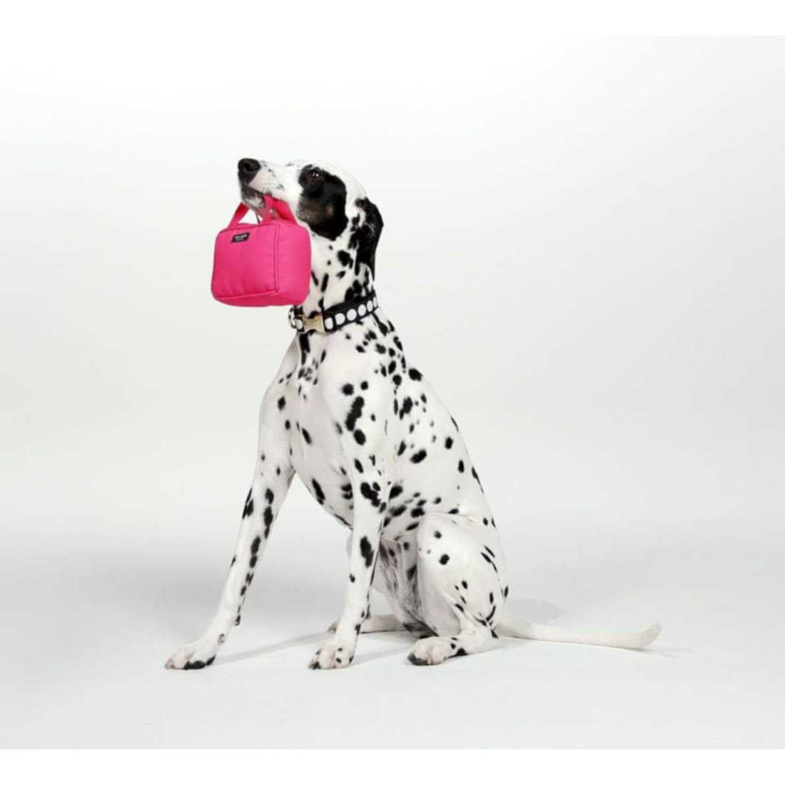 Pink Handbag Dog Chew Toy H7424