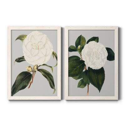 Camellia Japonica Framed Canvas B55355