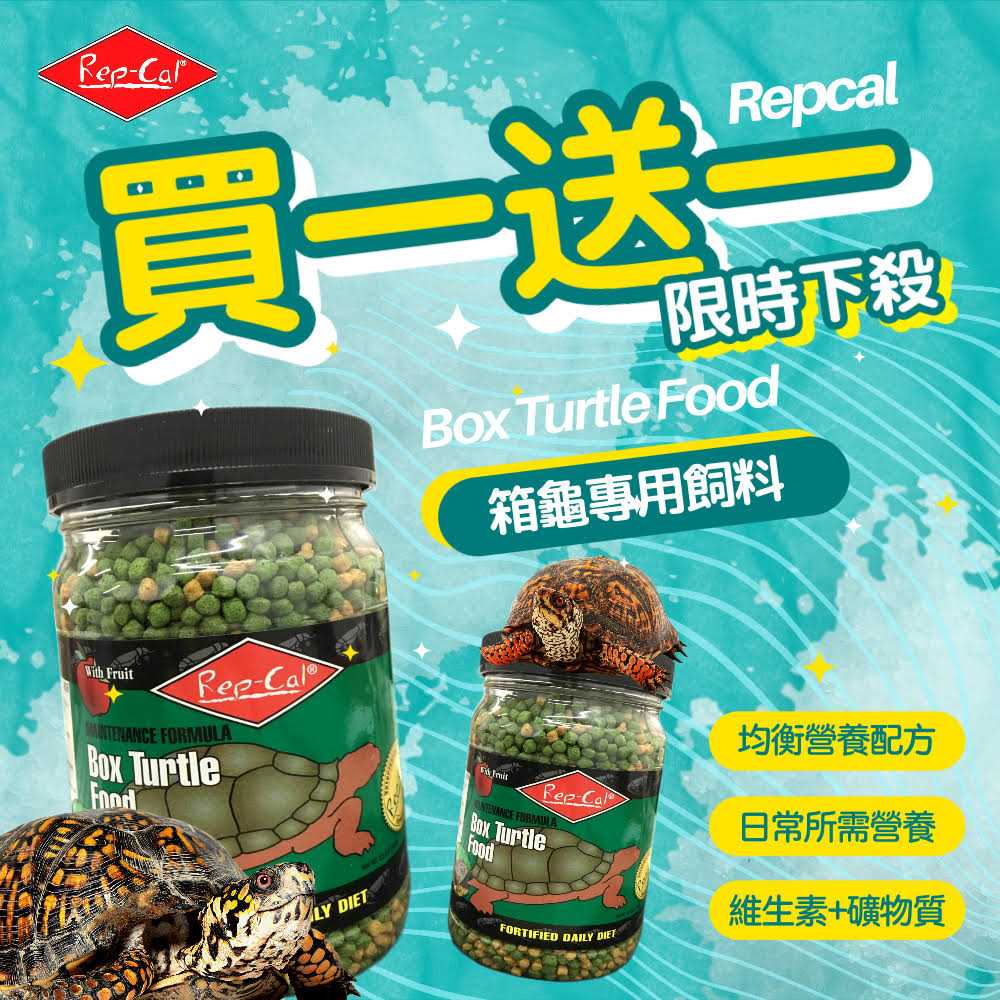 Box Turtle Food C56583