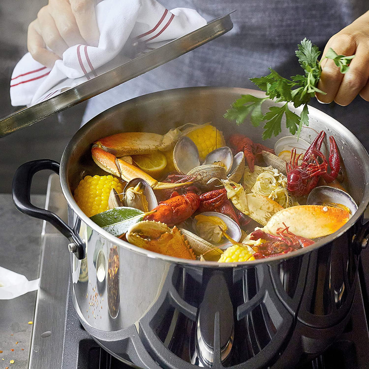 5-Ply Clad Stainless Steel Stock Pot with Lid, 8 Quart G875