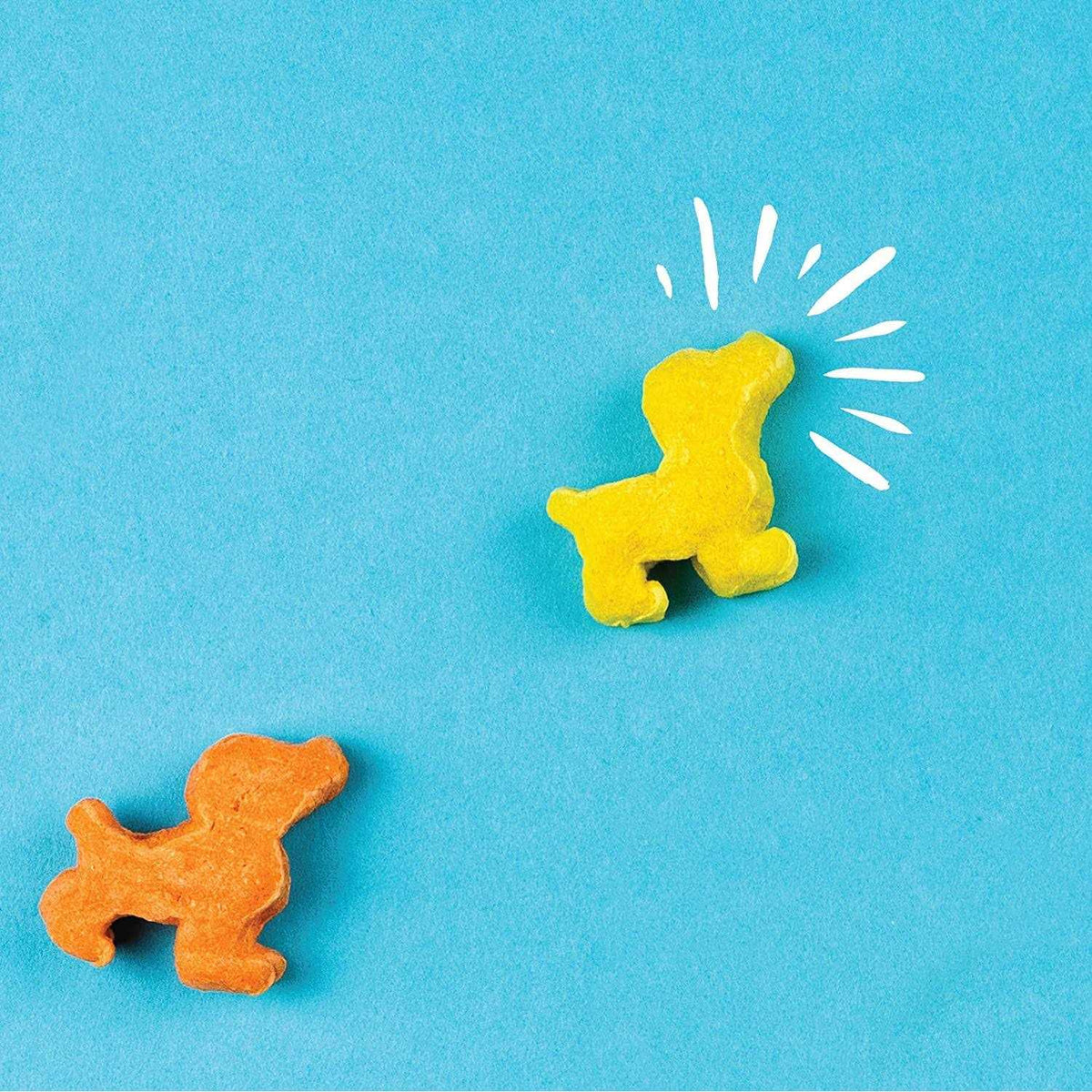 Pup Corn Plus Dog Treats P197014