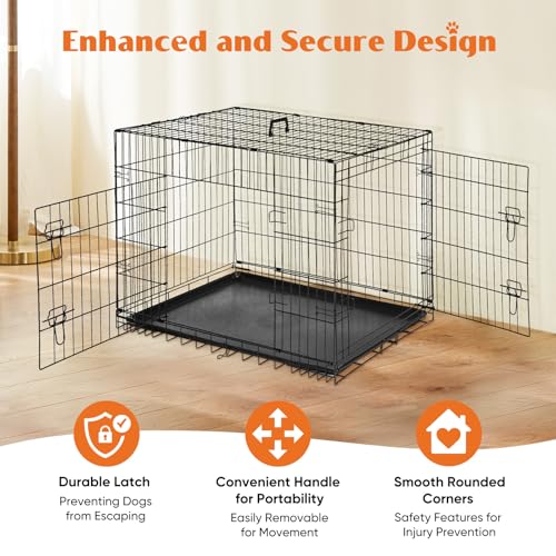 Large 36 Inch Double Door Folding Metal Wire Dog Crate with Divider Panel and Plastic Leak-Proof Pan Tray T8697