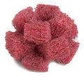 Buff and Blend Cross Buff Q5598
