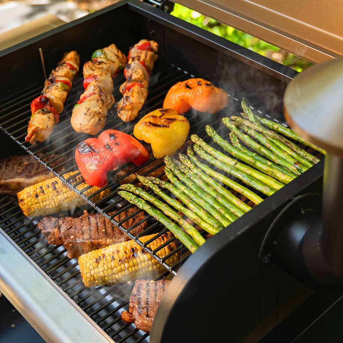 Wood Pellet Grill Smoker with PID Technology, 572 sq in Cooking Area D1763