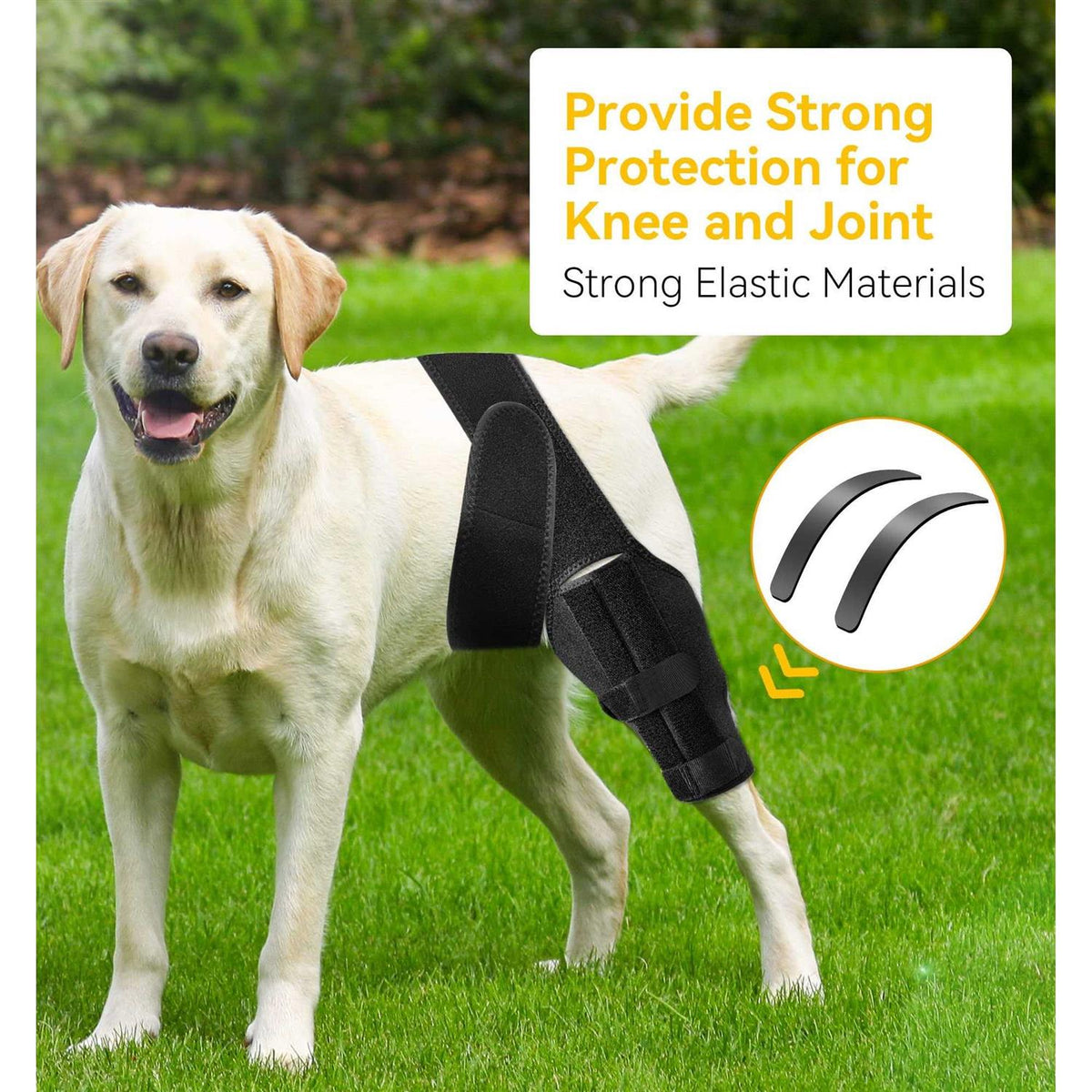 Dog Knee Brace with Cruciate Ligament E704
