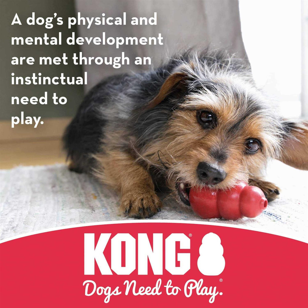 Dog Toy M86860