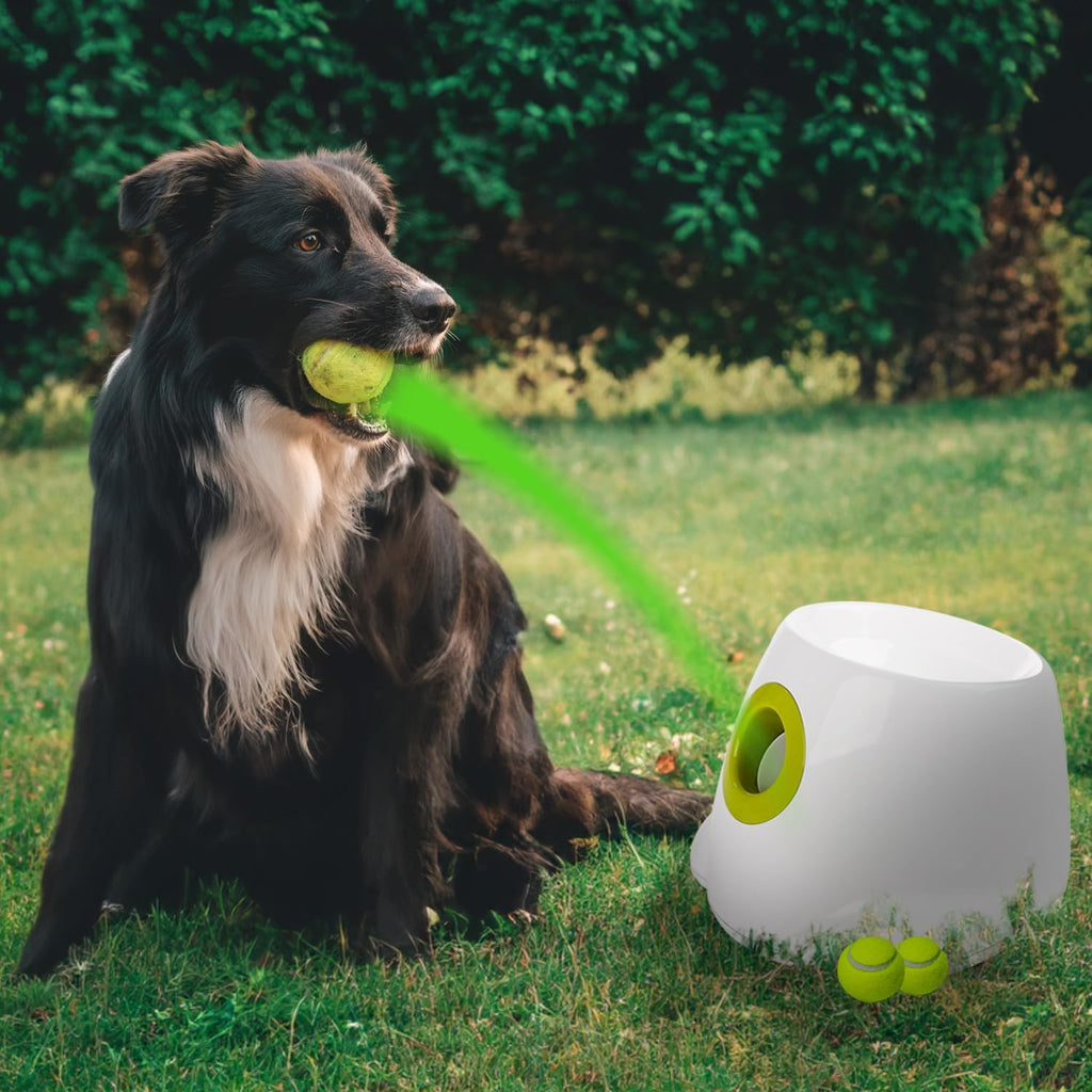 Automatic Ball Thrower for Dogs with 3 Tennis Balls R837001
