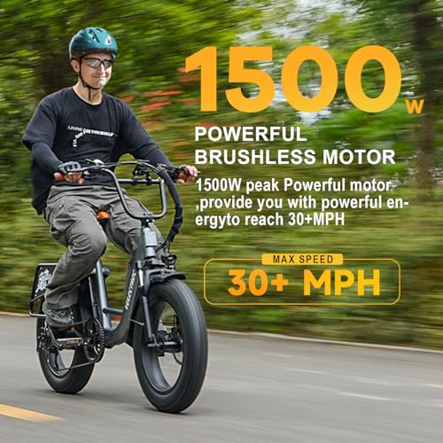 1500W 48V 18AH Removable Battery 20" x 4.0 Fat Tire 7-Speed Electric Bike R396