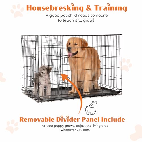 Large 36 Inch Double Door Folding Metal Wire Dog Crate with Divider Panel and Plastic Leak-Proof Pan Tray T8697