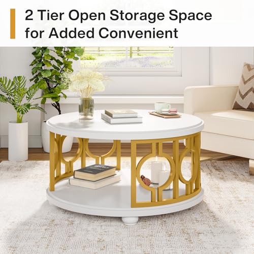 2-Tier Round Coffee Table with Storage Shelf M553815
