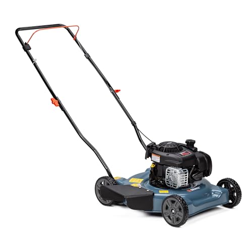 21-Inch 140 cc Gas Push Lawn Mower R490623