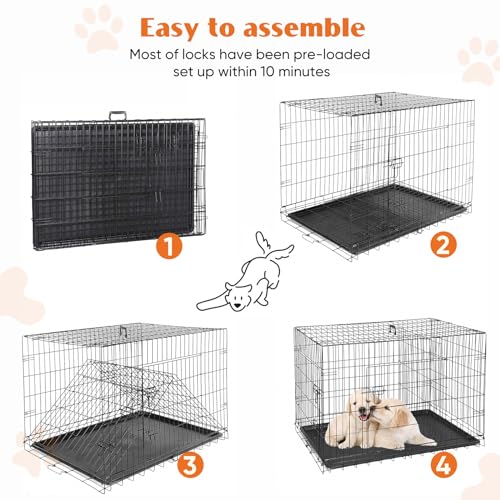 Large 36 Inch Double Door Folding Metal Wire Dog Crate with Divider Panel and Plastic Leak-Proof Pan Tray T8697