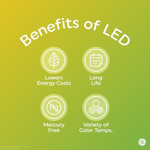 100 Watt Soft White A19 LED Light Bulbs (2 Pack) A8417