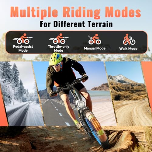 52v 20AH Full Suspension Electric Bike with 20"x 4.0 Fat Tire N277