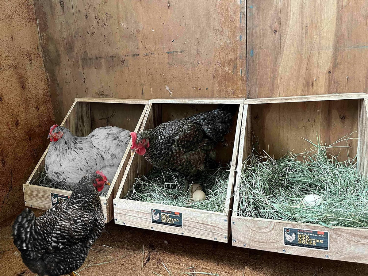 Single Compartment Wood Nesting Box (1 Pack) W5260