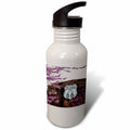 21 oz Sports Water Bottle B5079