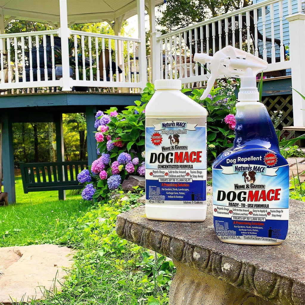 Dog Mace 40oz Concentrate G880